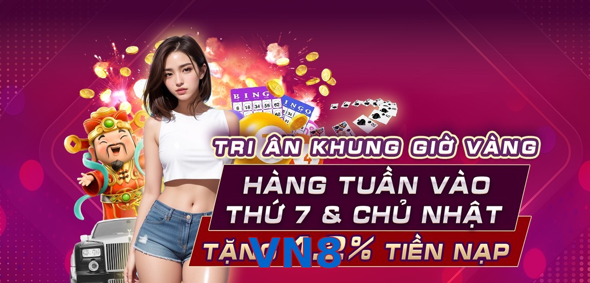 VN8