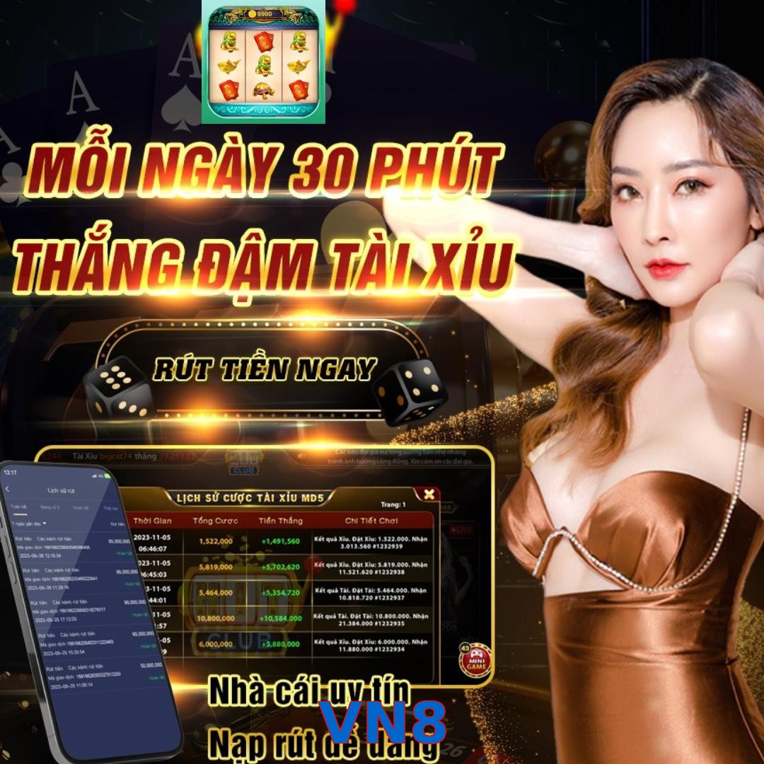 VN8