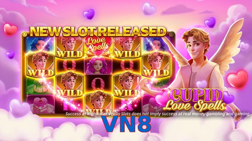 VN8
