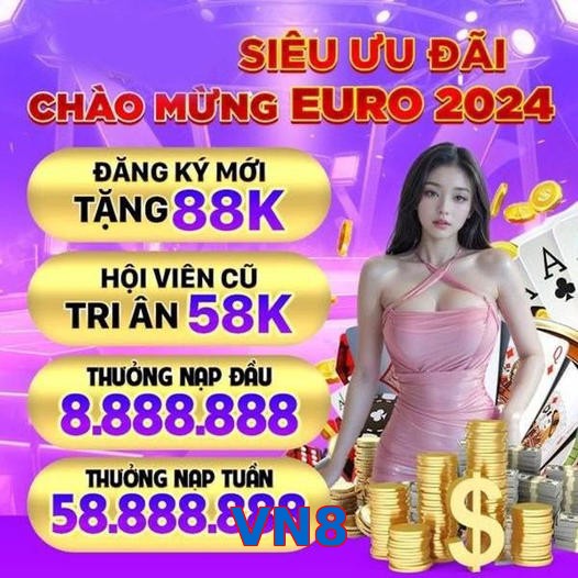 VN8