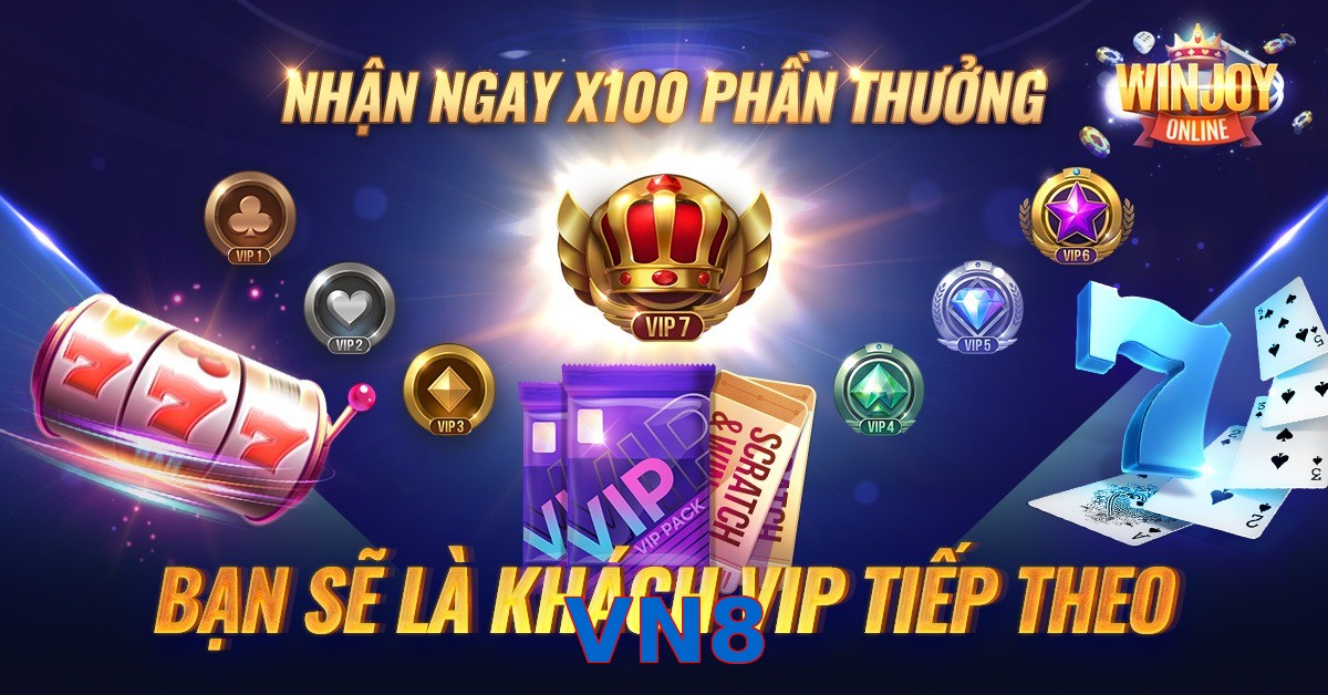 VN8