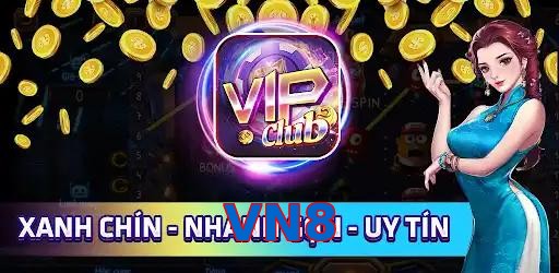VN8