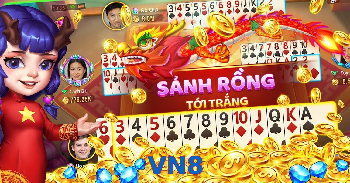 VN8