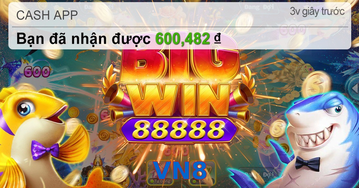 VN8
