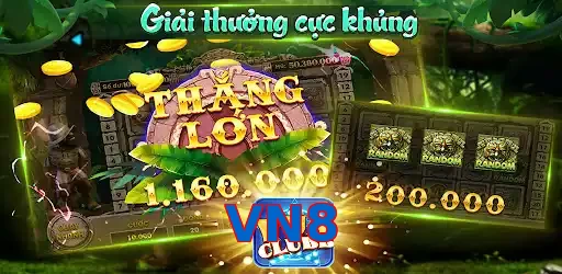 VN8