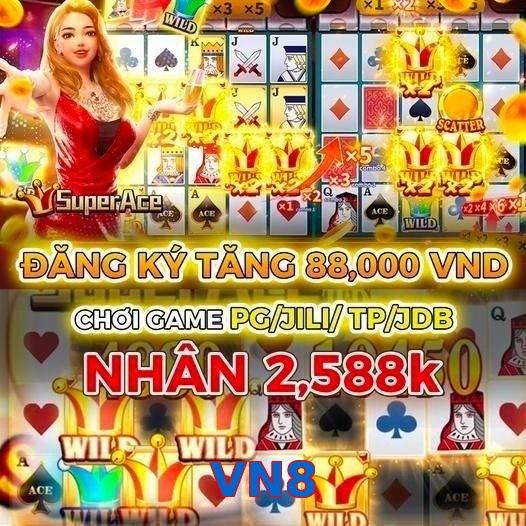 VN8