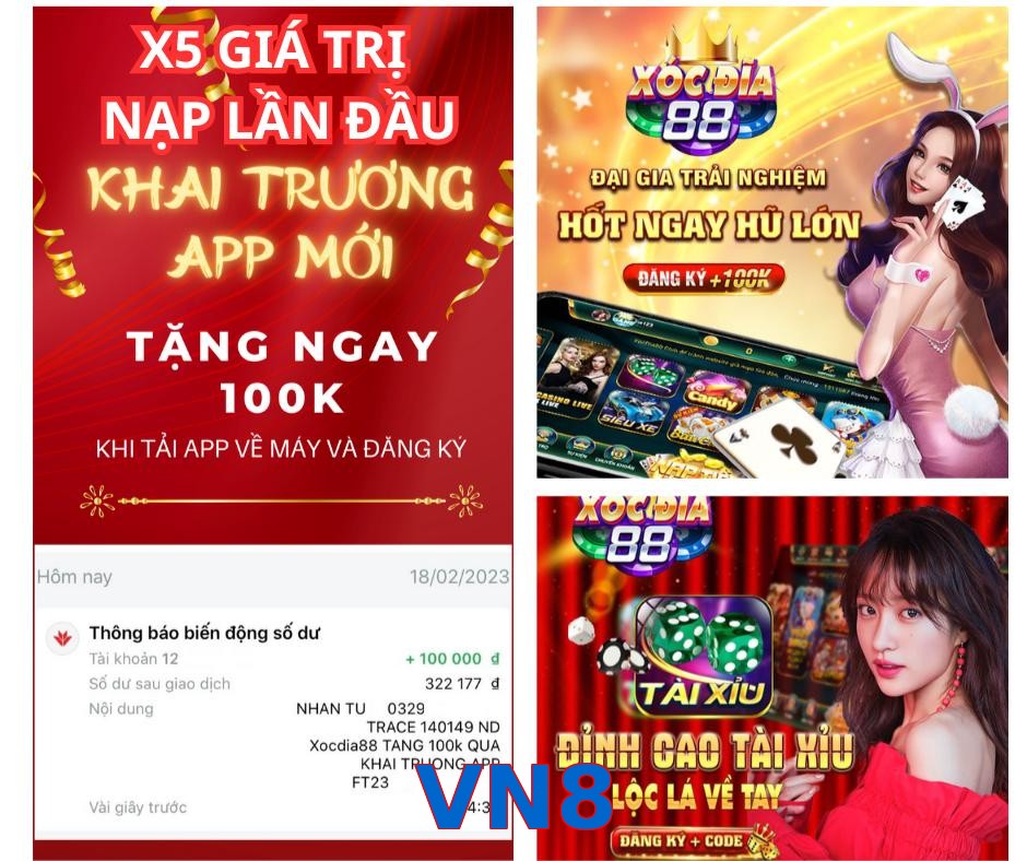 VN8