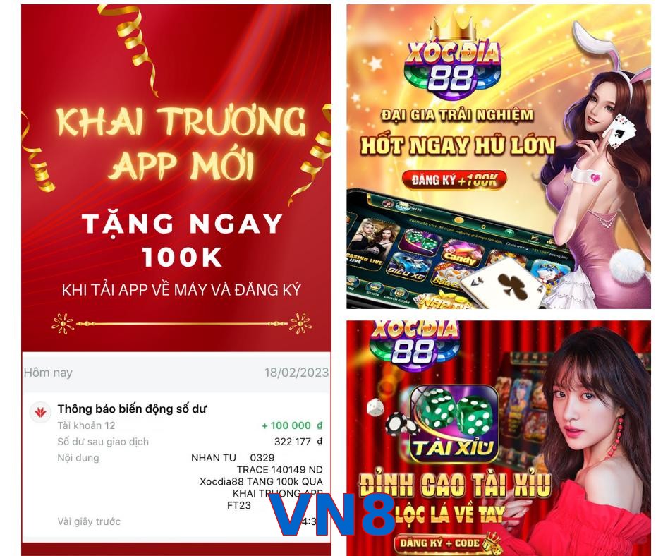 VN8